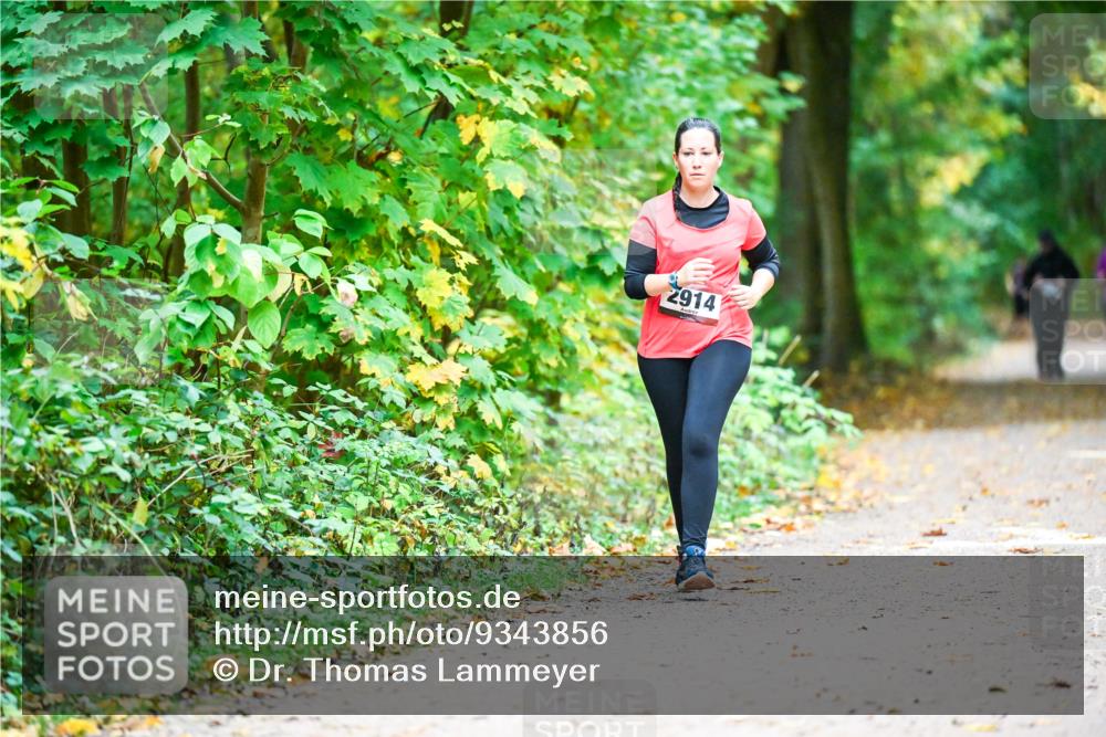 12.10.2025 - Bramfelder Halbmarathon 2025 Dr. Thomas Lammeyer http://msf.ph/oto/9343856 12.10.2025 10:01:01 Laufen 2914 meine-sportfotos.de