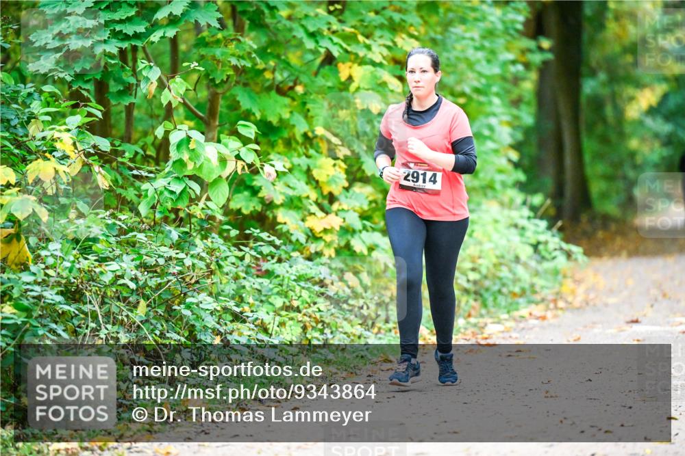 12.10.2025 - Bramfelder Halbmarathon 2025 Dr. Thomas Lammeyer http://msf.ph/oto/9343864 12.10.2025 10:01:02 Laufen 2914 meine-sportfotos.de