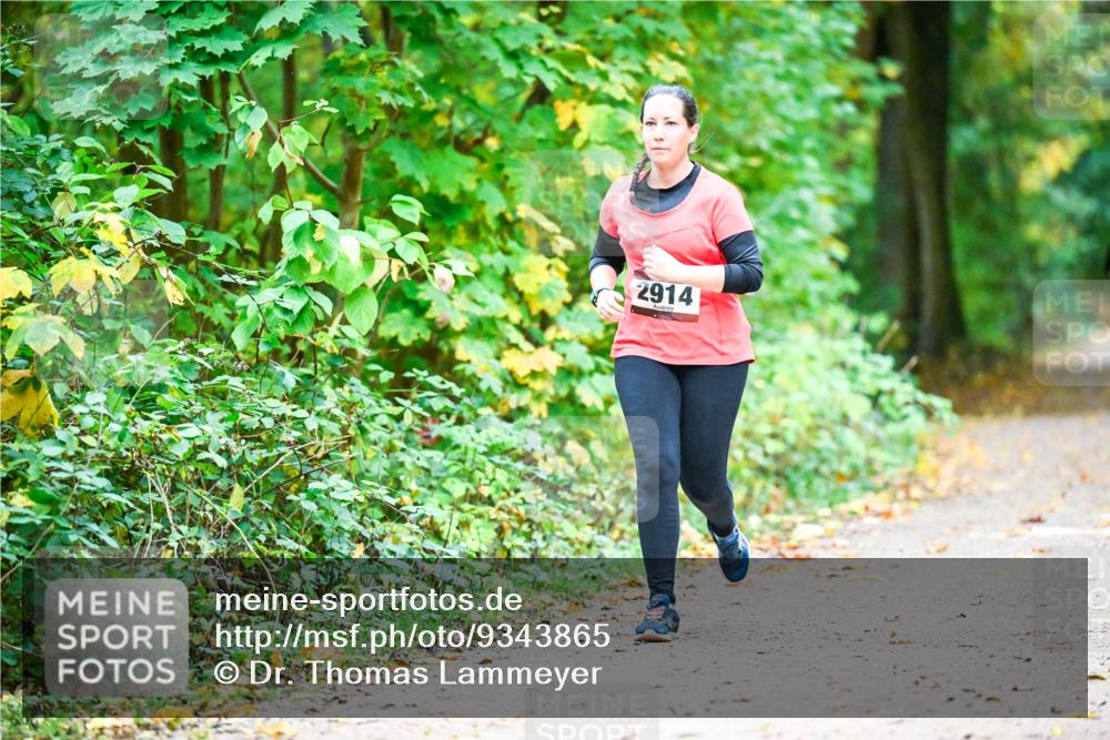 12.10.2025 - Bramfelder Halbmarathon 2025 Dr. Thomas Lammeyer http://msf.ph/oto/9343865 12.10.2025 10:01:02 Laufen 2914 meine-sportfotos.de