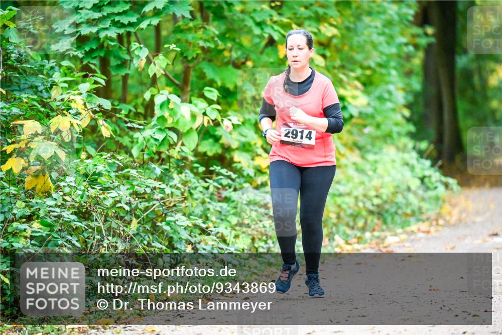 12.10.2025 - Bramfelder Halbmarathon 2025 Dr. Thomas Lammeyer http://msf.ph/oto/9343869 12.10.2025 10:01:02 Laufen 2914 meine-sportfotos.de