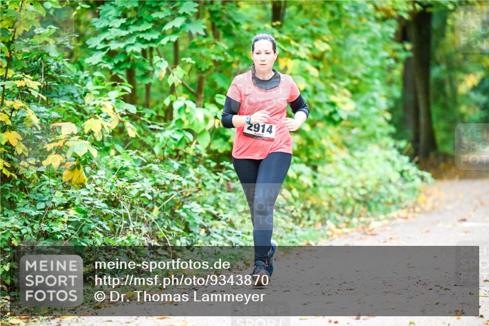 12.10.2025 - Bramfelder Halbmarathon 2025 Dr. Thomas Lammeyer http://msf.ph/oto/9343870 12.10.2025 10:01:03 Laufen 2914 meine-sportfotos.de