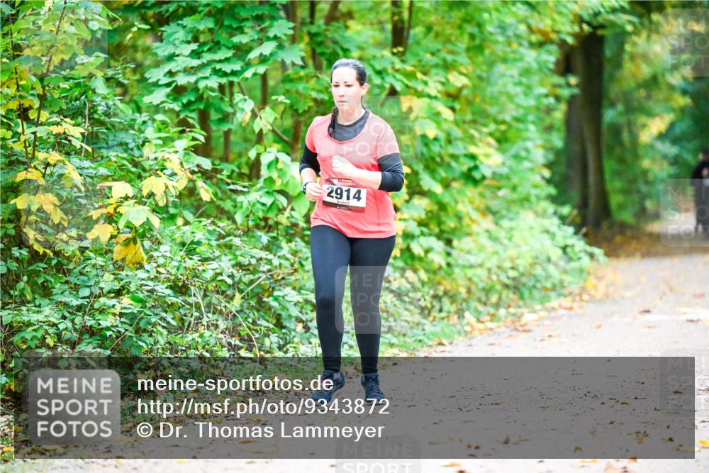 12.10.2025 - Bramfelder Halbmarathon 2025 Dr. Thomas Lammeyer http://msf.ph/oto/9343872 12.10.2025 10:01:03 Laufen 2914 meine-sportfotos.de