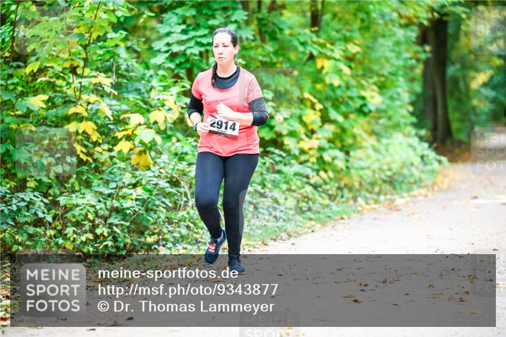 12.10.2025 - Bramfelder Halbmarathon 2025 Dr. Thomas Lammeyer http://msf.ph/oto/9343877 12.10.2025 10:01:04 Laufen 2914 meine-sportfotos.de