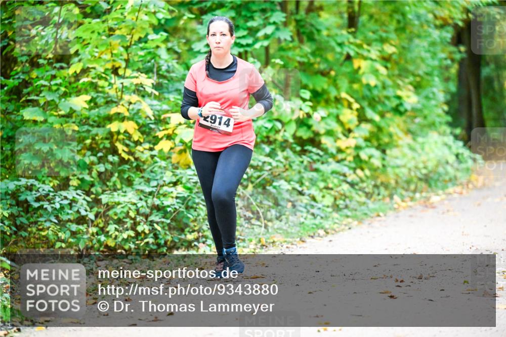 12.10.2025 - Bramfelder Halbmarathon 2025 Dr. Thomas Lammeyer http://msf.ph/oto/9343880 12.10.2025 10:01:04 Laufen 914 meine-sportfotos.de