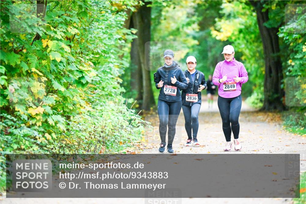 12.10.2025 - Bramfelder Halbmarathon 2025 Dr. Thomas Lammeyer http://msf.ph/oto/9343883 12.10.2025 10:01:16 Laufen 2728, 2836, 2849 meine-sportfotos.de