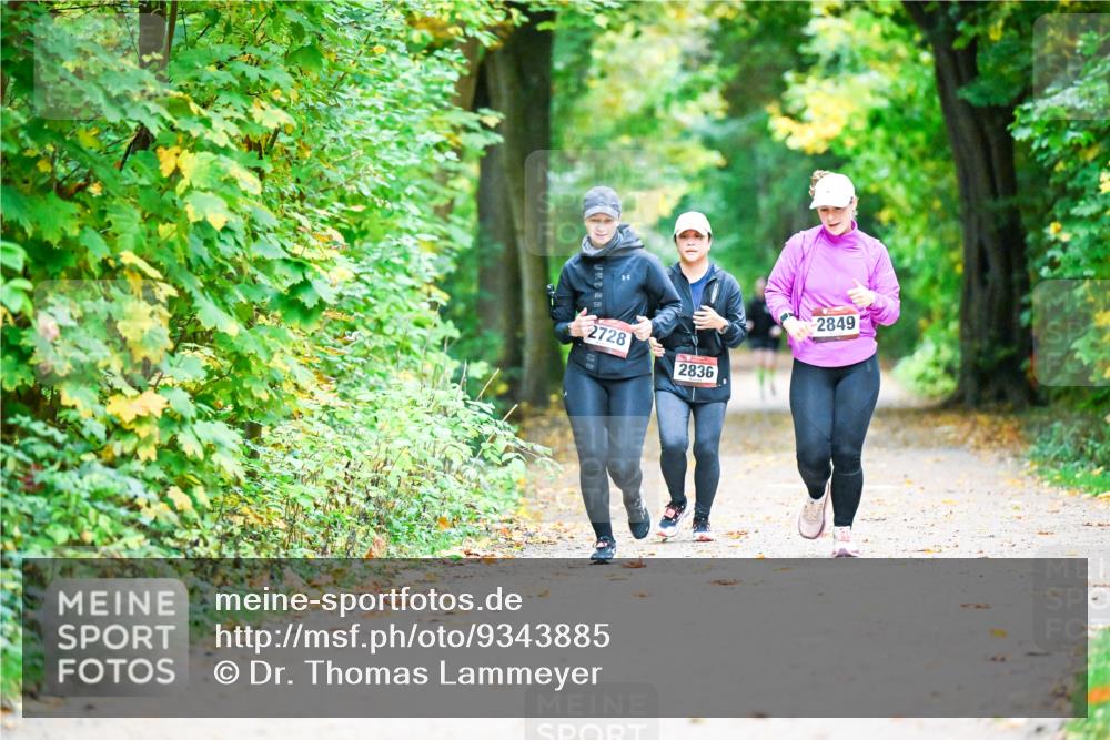12.10.2025 - Bramfelder Halbmarathon 2025 Dr. Thomas Lammeyer http://msf.ph/oto/9343885 12.10.2025 10:01:16 Laufen 5, 2728, 2836, 2849 meine-sportfotos.de