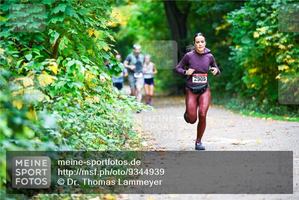 12.10.2025 - Bramfelder Halbmarathon 2025 Dr. Thomas Lammeyer http://msf.ph/oto/9344939 12.10.2025 10:13:23 Laufen 2909 meine-sportfotos.de