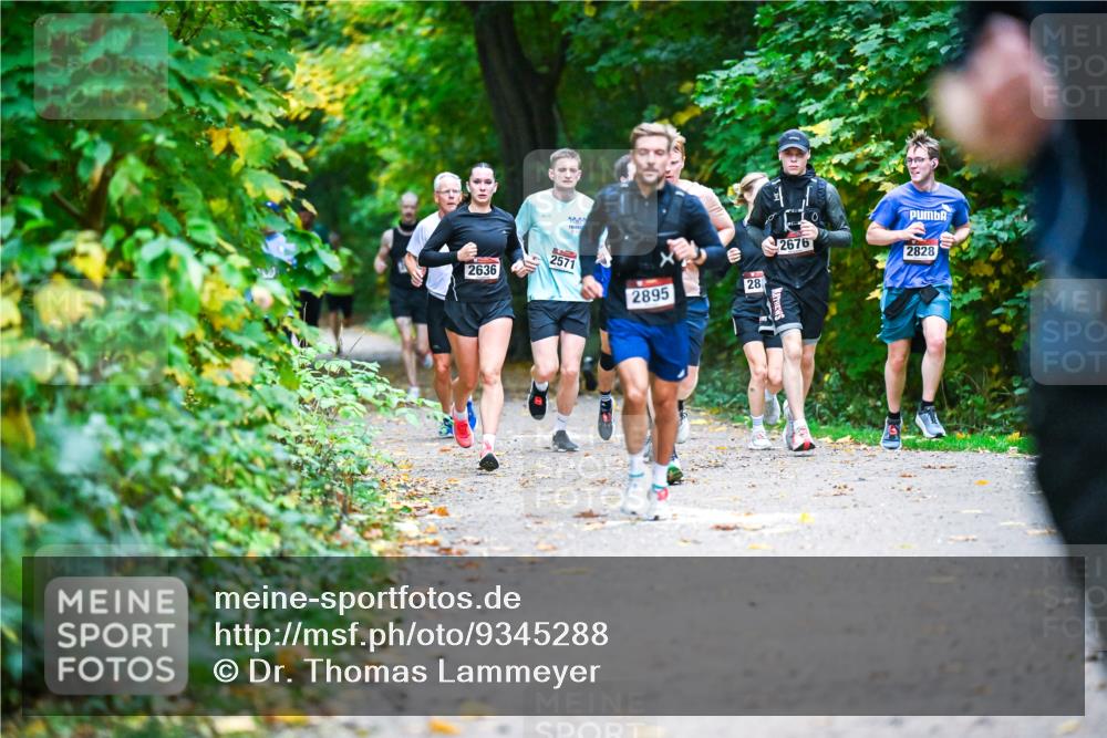 12.10.2025 - Bramfelder Halbmarathon 2025 Dr. Thomas Lammeyer http://msf.ph/oto/9345288 12.10.2025 10:15:03 Laufen 2000, 2636, 2571, 2895, 28, 2676, 2828 meine-sportfotos.de