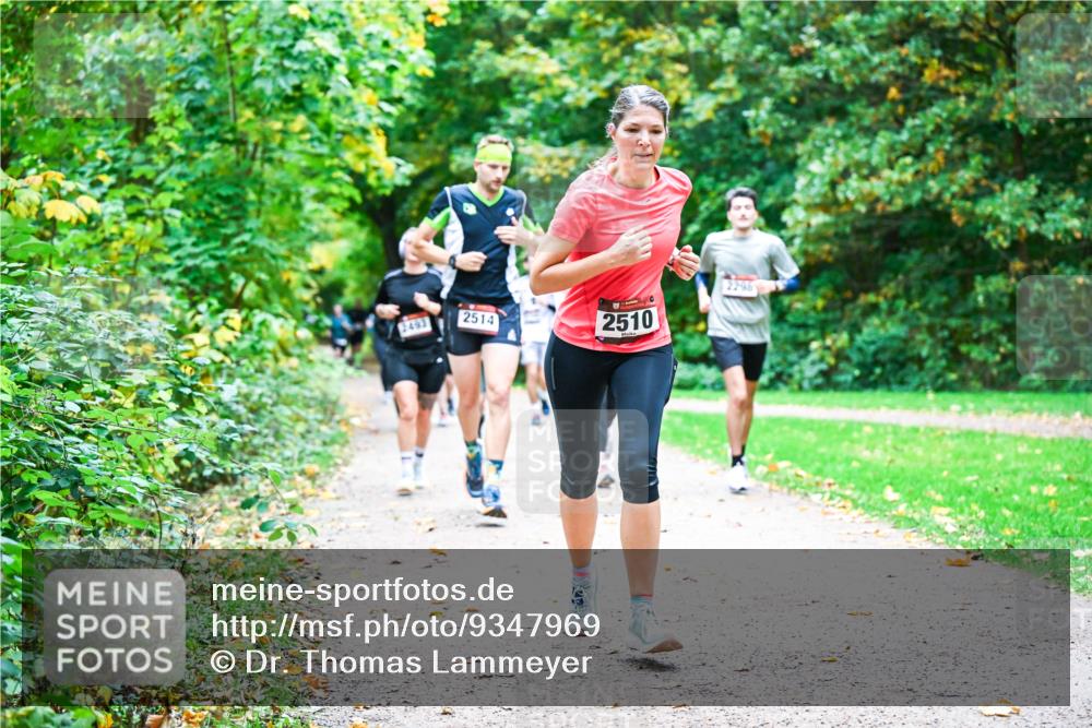 12.10.2025 - Bramfelder Halbmarathon 2025 Dr. Thomas Lammeyer http://msf.ph/oto/9347969 12.10.2025 10:25:36 Laufen 2296, 2493, 2514, 2510 meine-sportfotos.de