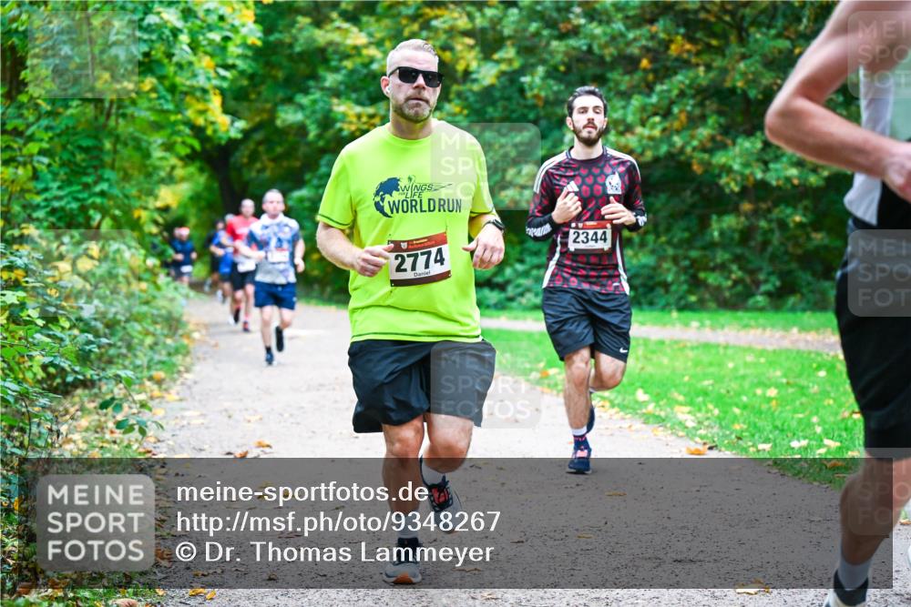 12.10.2025 - Bramfelder Halbmarathon 2025 Dr. Thomas Lammeyer http://msf.ph/oto/9348267 12.10.2025 10:26:38 Laufen 2774, 2344 meine-sportfotos.de