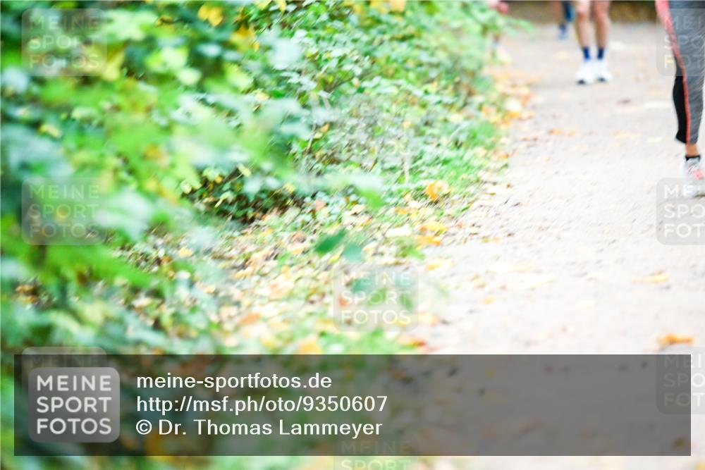12.10.2025 - Bramfelder Halbmarathon 2025 Dr. Thomas Lammeyer http://msf.ph/oto/9350607 12.10.2025 10:34:52 Laufen  meine-sportfotos.de