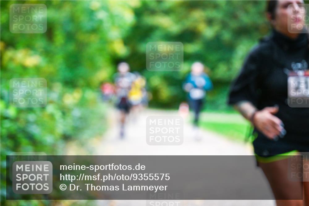 12.10.2025 - Bramfelder Halbmarathon 2025 Dr. Thomas Lammeyer http://msf.ph/oto/9355575 12.10.2025 10:54:11 Laufen  meine-sportfotos.de
