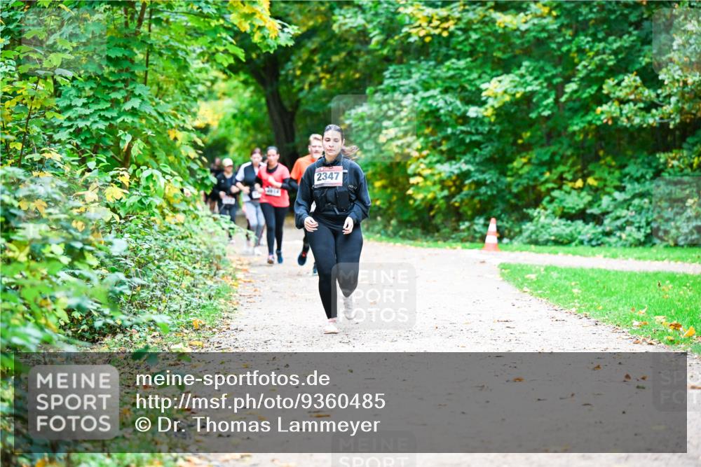 12.10.2025 - Bramfelder Halbmarathon 2025 Dr. Thomas Lammeyer http://msf.ph/oto/9360485 12.10.2025 11:12:36 Laufen 2347 meine-sportfotos.de