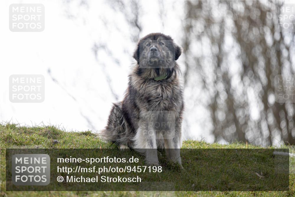 12.04.2026 - 45. Internationalen Wilhelmsburger Insellauf Michael Strokosch http://msf.ph/oto/9457198 12.04.2026 09:27:32 Laufen  meine-sportfotos.de