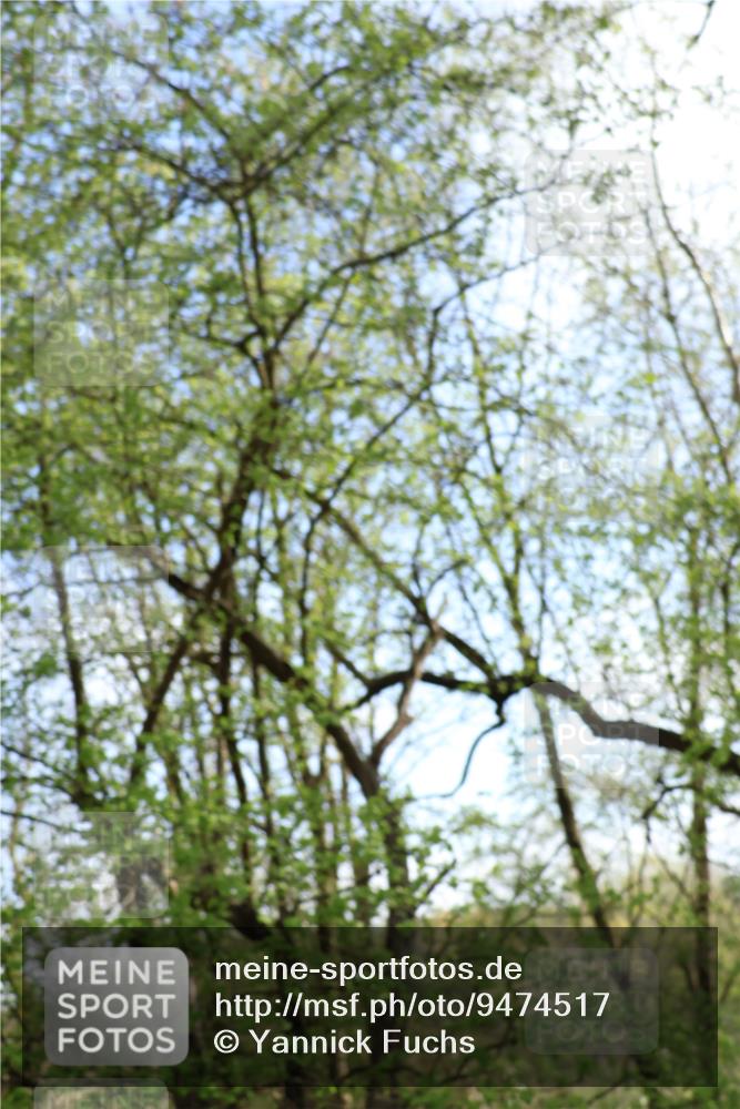 12.04.2026 - 45. Internationalen Wilhelmsburger Insellauf Yannick Fuchs http://msf.ph/oto/9474517 12.04.2026 10:05:49 Laufen  meine-sportfotos.de