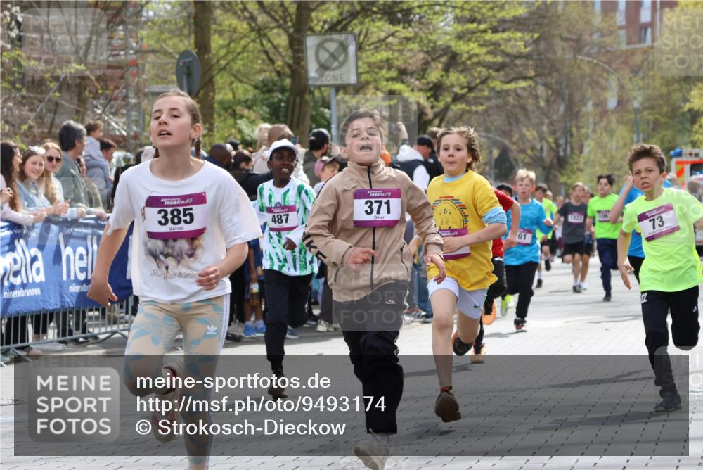 12.04.2026 - 45. Internationalen Wilhelmsburger Insellauf Strokosch-Dieckow http://msf.ph/oto/9493174 12.04.2026 14:49:09 Ziel 373, 38, 1804, 1836, 5015, 876, 1816, 1815, 428, 385, 371, 433, 487, 887, 73, 1805, 591, 1043, 101 meine-sportfotos.de