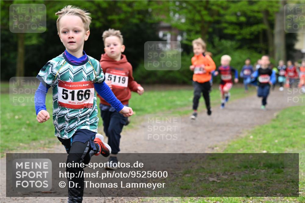 19.04.2026 - Hammer Lauf Dr. Thomas Lammeyer http://msf.ph/oto/9525600 19.04.2026 09:10:47 Laufen 5166, 5119 meine-sportfotos.de