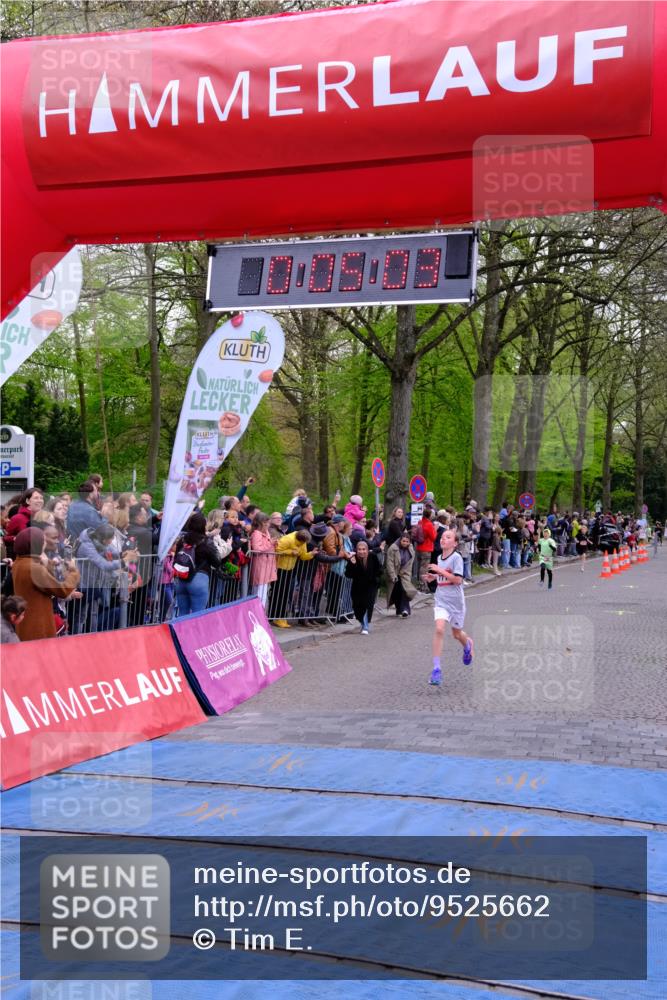 19.04.2026 - Hammer Lauf Tim E. http://msf.ph/oto/9525662 19.04.2026 09:25:32 Ziel 393, 771, 1040, 1065 meine-sportfotos.de