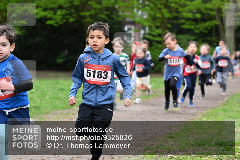 19.04.2026 - Hammer Lauf Dr. Thomas Lammeyer http://msf.ph/oto/9525826 19.04.2026 09:11:08 Laufen 5183, 5124 meine-sportfotos.de