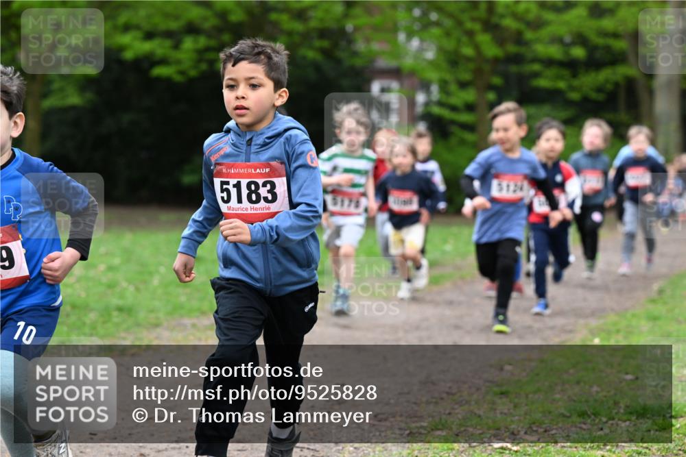 19.04.2026 - Hammer Lauf Dr. Thomas Lammeyer http://msf.ph/oto/9525828 19.04.2026 09:11:08 Laufen 5183, 5124 meine-sportfotos.de