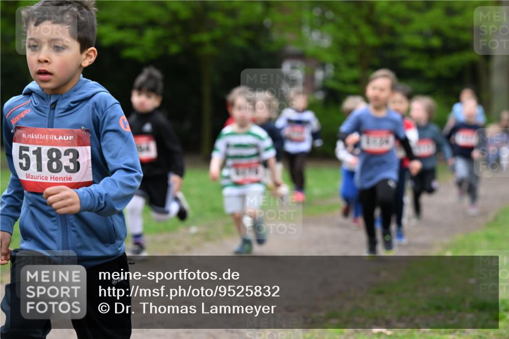 19.04.2026 - Hammer Lauf Dr. Thomas Lammeyer http://msf.ph/oto/9525832 19.04.2026 09:11:09 Laufen 5183 meine-sportfotos.de