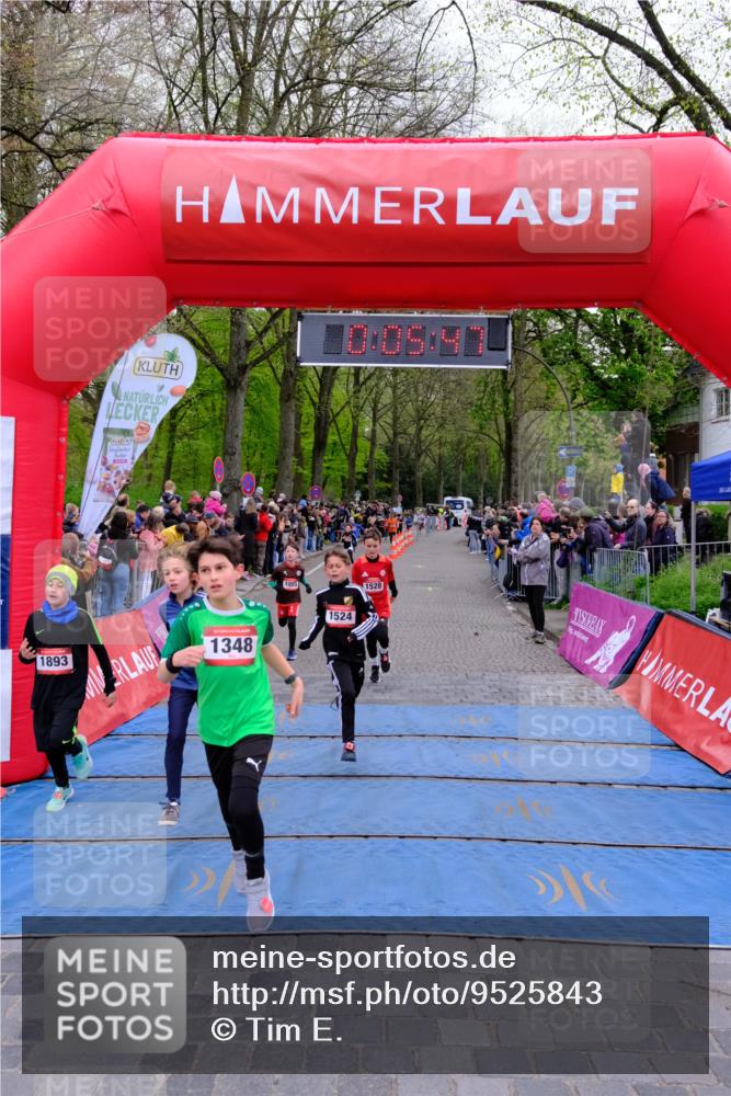19.04.2026 - Hammer Lauf Tim E. http://msf.ph/oto/9525843 19.04.2026 09:26:15 Ziel 926, 1055, 1099, 1241, 1348, 1405, 1524, 1528, 1532, 1893 meine-sportfotos.de