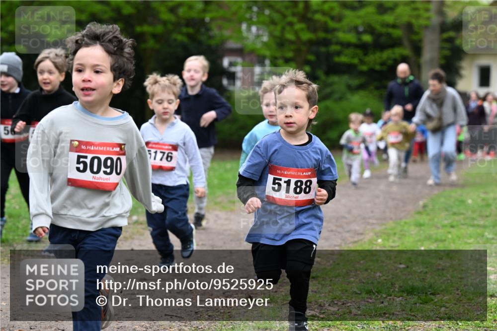 19.04.2026 - Hammer Lauf Dr. Thomas Lammeyer http://msf.ph/oto/9525925 19.04.2026 09:11:18 Laufen 5090, 5176, 5188 meine-sportfotos.de