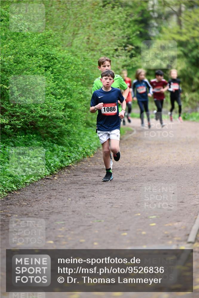 19.04.2026 - Hammer Lauf Dr. Thomas Lammeyer http://msf.ph/oto/9526836 19.04.2026 09:24:34 Laufen 1086 meine-sportfotos.de