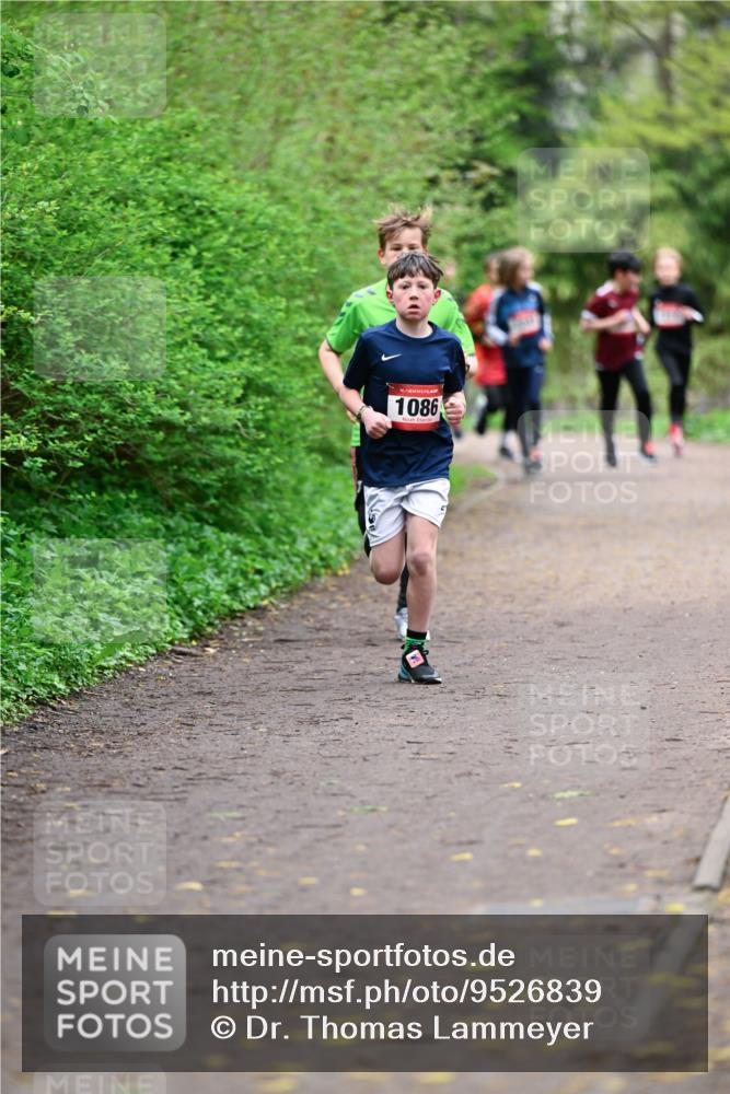 19.04.2026 - Hammer Lauf Dr. Thomas Lammeyer http://msf.ph/oto/9526839 19.04.2026 09:24:34 Laufen 1086 meine-sportfotos.de