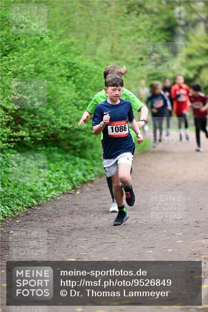 19.04.2026 - Hammer Lauf Dr. Thomas Lammeyer http://msf.ph/oto/9526849 19.04.2026 09:24:35 Laufen 1086 meine-sportfotos.de