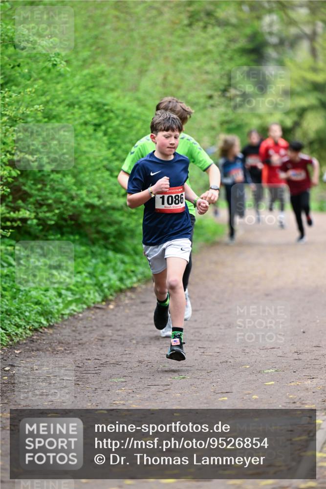 19.04.2026 - Hammer Lauf Dr. Thomas Lammeyer http://msf.ph/oto/9526854 19.04.2026 09:24:35 Laufen 1086 meine-sportfotos.de