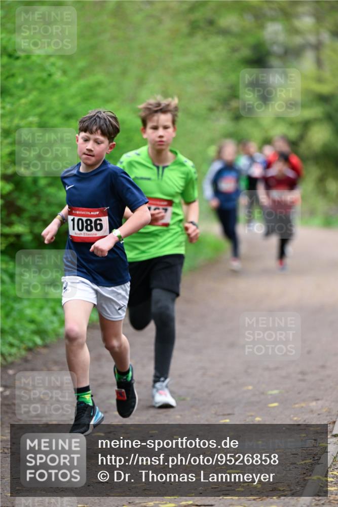 19.04.2026 - Hammer Lauf Dr. Thomas Lammeyer http://msf.ph/oto/9526858 19.04.2026 09:24:36 Laufen 1086 meine-sportfotos.de