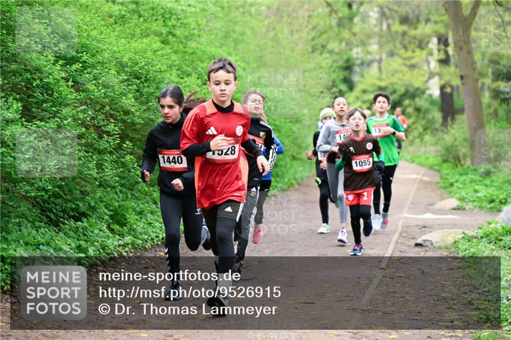 19.04.2026 - Hammer Lauf Dr. Thomas Lammeyer http://msf.ph/oto/9526915 19.04.2026 09:24:44 Laufen 1440, 528, 140, 1055 meine-sportfotos.de