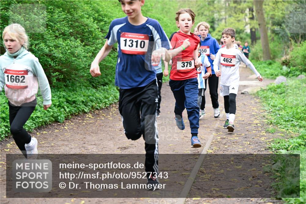 19.04.2026 - Hammer Lauf Dr. Thomas Lammeyer http://msf.ph/oto/9527343 19.04.2026 09:25:32 Laufen 1662, 1310, 379, 550, 462 meine-sportfotos.de