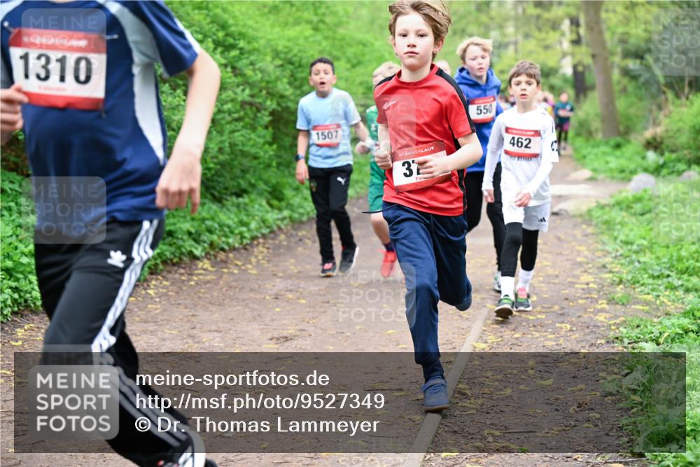 19.04.2026 - Hammer Lauf Dr. Thomas Lammeyer http://msf.ph/oto/9527349 19.04.2026 09:25:33 Laufen 1310, 1507, 550, 462 meine-sportfotos.de