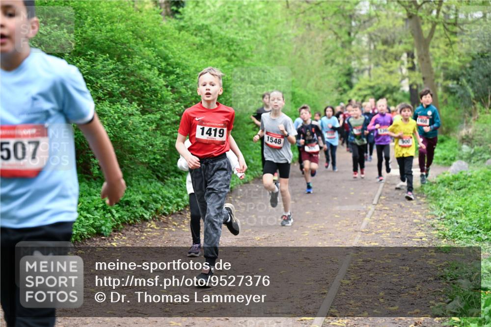 19.04.2026 - Hammer Lauf Dr. Thomas Lammeyer http://msf.ph/oto/9527376 19.04.2026 09:25:38 Laufen 507, 1419, 1548, 900 meine-sportfotos.de