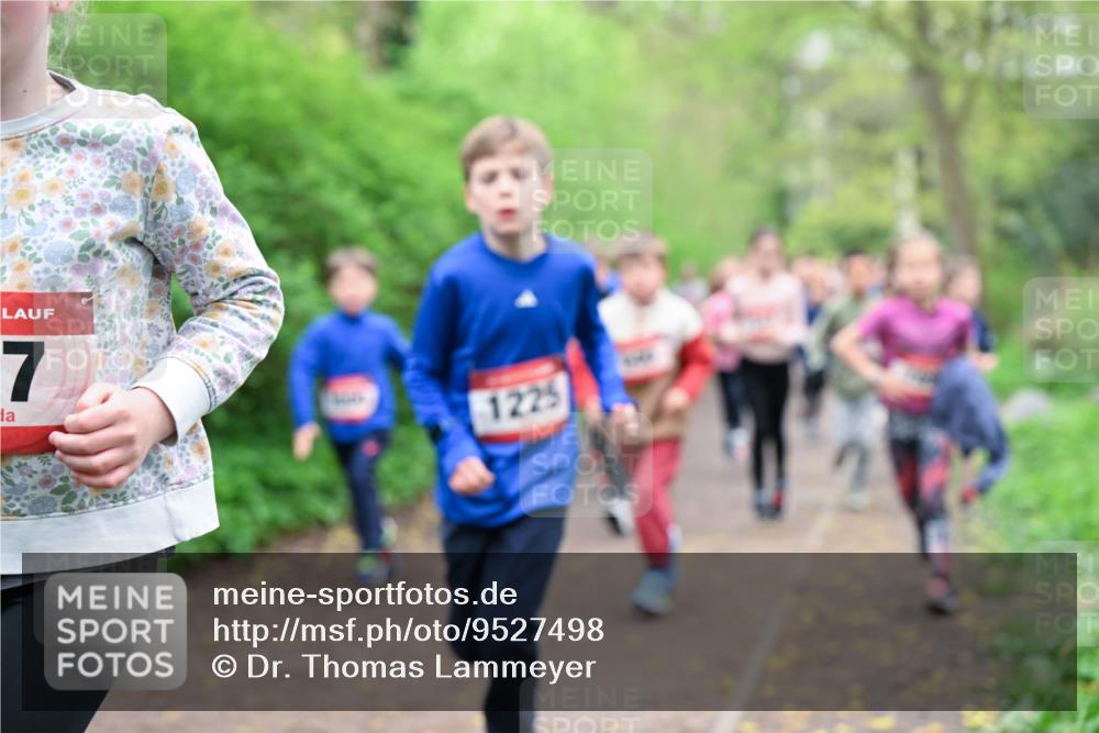 19.04.2026 - Hammer Lauf Dr. Thomas Lammeyer http://msf.ph/oto/9527498 19.04.2026 09:25:53 Laufen 1225 meine-sportfotos.de