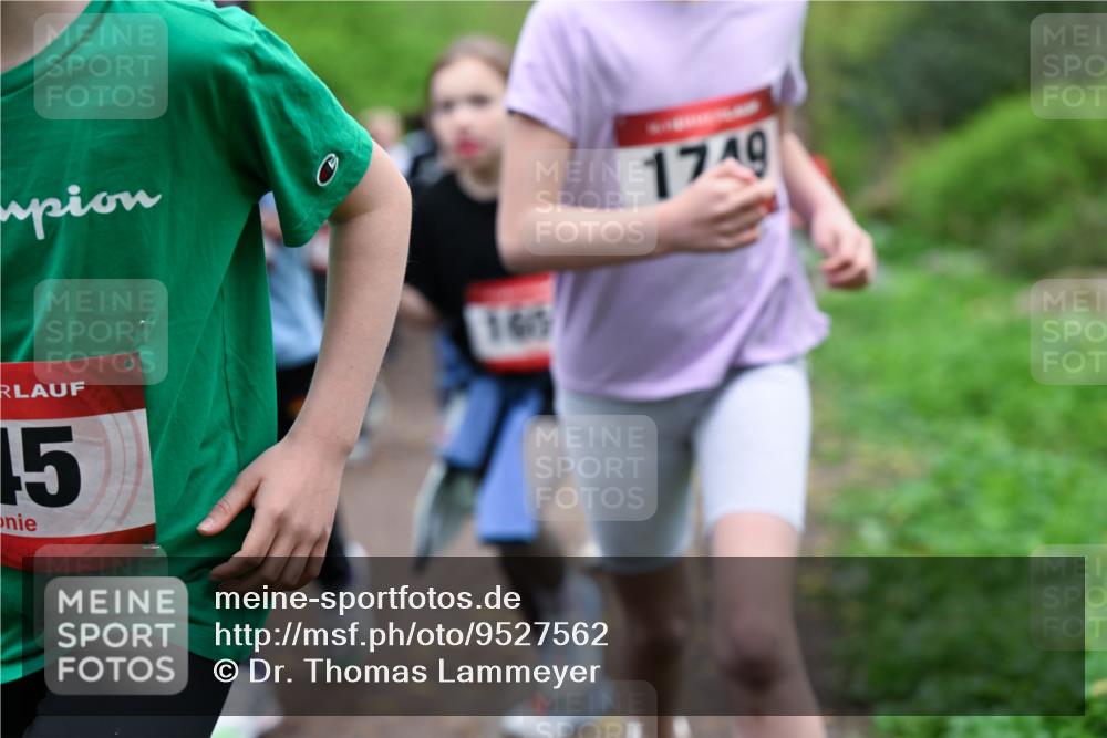 19.04.2026 - Hammer Lauf Dr. Thomas Lammeyer http://msf.ph/oto/9527562 19.04.2026 09:26:02 Laufen 165, 1749 meine-sportfotos.de