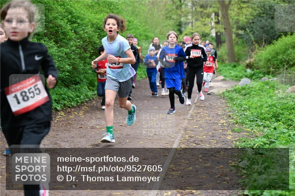19.04.2026 - Hammer Lauf Dr. Thomas Lammeyer http://msf.ph/oto/9527605 19.04.2026 09:26:10 Laufen 1855, 587, 597, 1193 meine-sportfotos.de
