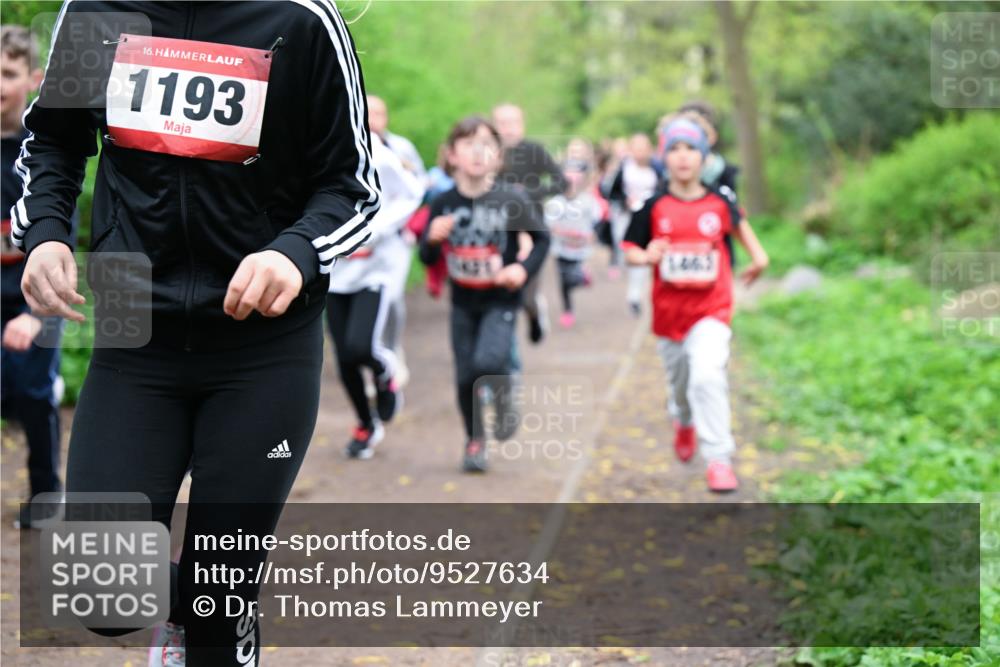 19.04.2026 - Hammer Lauf Dr. Thomas Lammeyer http://msf.ph/oto/9527634 19.04.2026 09:26:13 Laufen 1193 meine-sportfotos.de