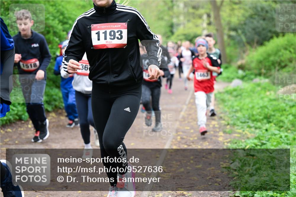 19.04.2026 - Hammer Lauf Dr. Thomas Lammeyer http://msf.ph/oto/9527636 19.04.2026 09:26:13 Laufen 1518, 1193, 1463 meine-sportfotos.de