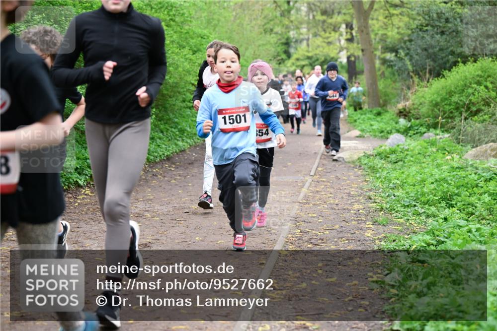 19.04.2026 - Hammer Lauf Dr. Thomas Lammeyer http://msf.ph/oto/9527662 19.04.2026 09:26:15 Laufen 1501 meine-sportfotos.de