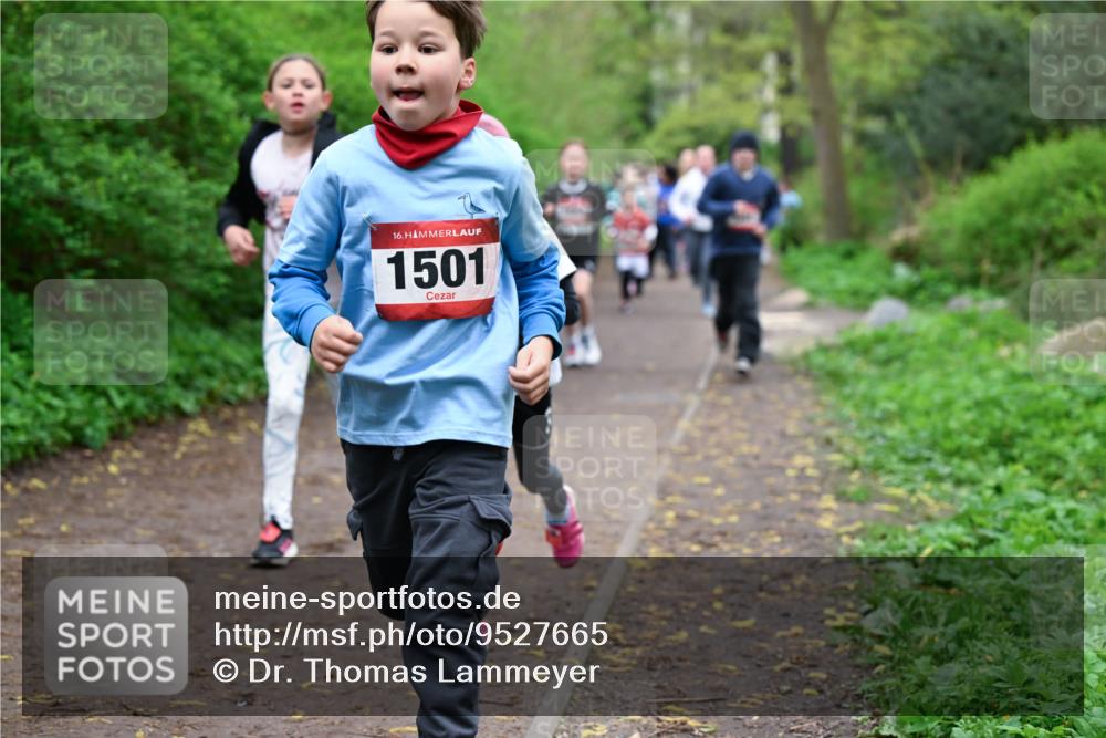19.04.2026 - Hammer Lauf Dr. Thomas Lammeyer http://msf.ph/oto/9527665 19.04.2026 09:26:16 Laufen 1501 meine-sportfotos.de