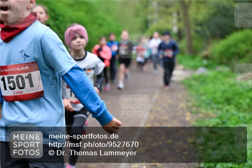 19.04.2026 - Hammer Lauf Dr. Thomas Lammeyer http://msf.ph/oto/9527670 19.04.2026 09:26:16 Laufen 1501 meine-sportfotos.de