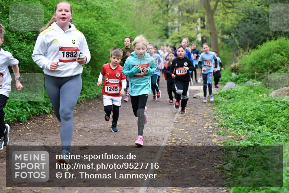 19.04.2026 - Hammer Lauf Dr. Thomas Lammeyer http://msf.ph/oto/9527716 19.04.2026 09:26:21 Laufen 1882, 1245, 1139, 1787 meine-sportfotos.de