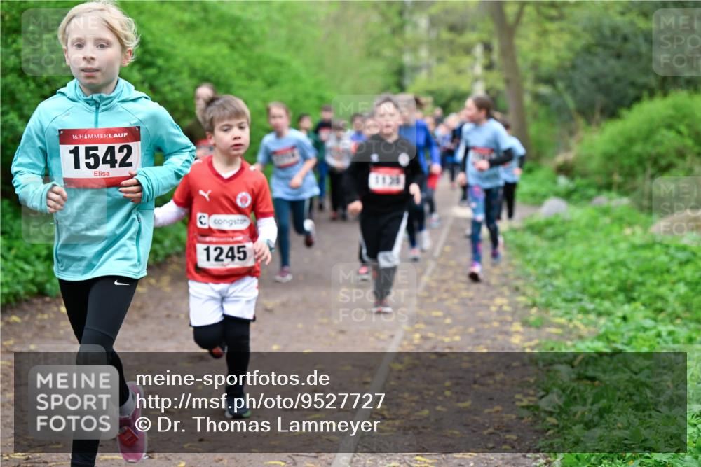 19.04.2026 - Hammer Lauf Dr. Thomas Lammeyer http://msf.ph/oto/9527727 19.04.2026 09:26:22 Laufen 1542, 1245, 1136 meine-sportfotos.de