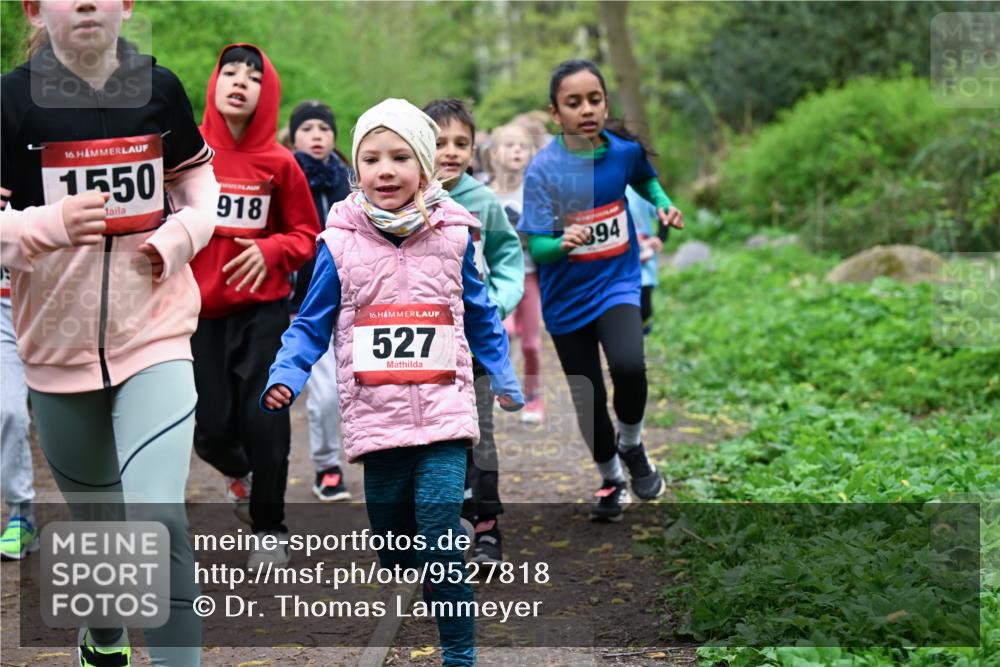 19.04.2026 - Hammer Lauf Dr. Thomas Lammeyer http://msf.ph/oto/9527818 19.04.2026 09:26:35 Laufen 1550, 918, 527, 3894 meine-sportfotos.de