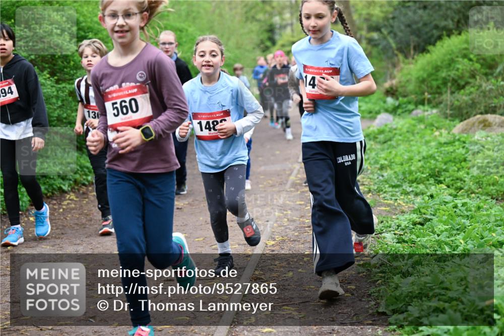 19.04.2026 - Hammer Lauf Dr. Thomas Lammeyer http://msf.ph/oto/9527865 19.04.2026 09:26:41 Laufen 130, 560, 148 meine-sportfotos.de