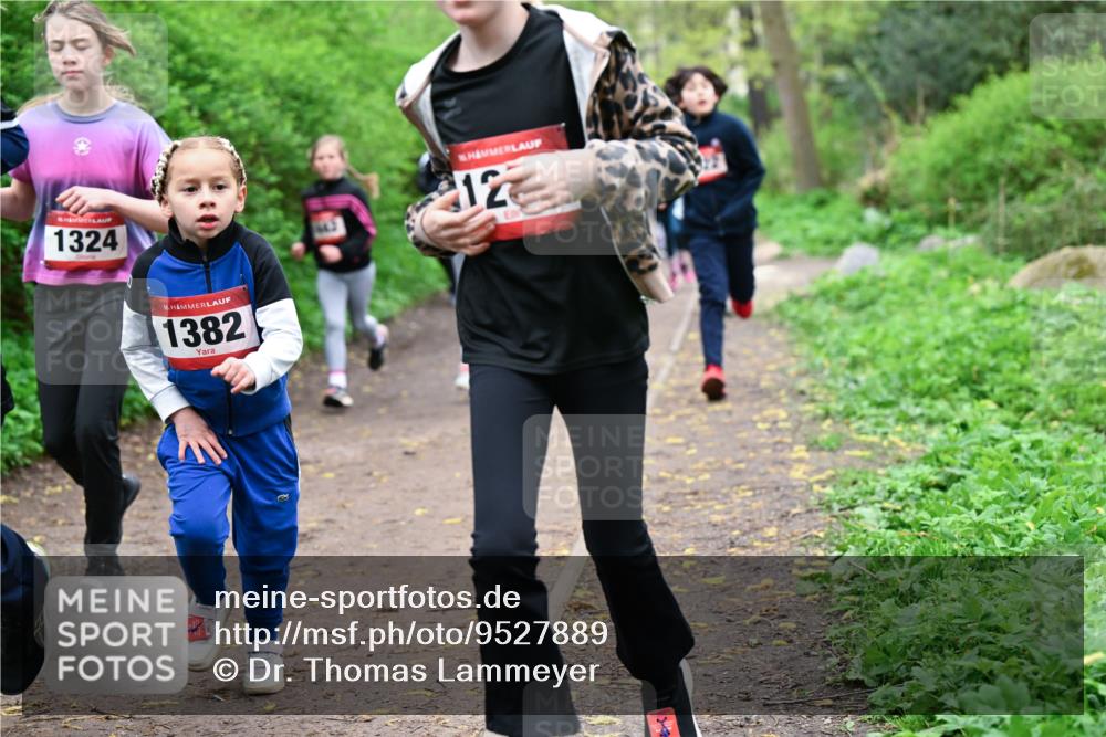 19.04.2026 - Hammer Lauf Dr. Thomas Lammeyer http://msf.ph/oto/9527889 19.04.2026 09:26:43 Laufen 1324, 1382 meine-sportfotos.de
