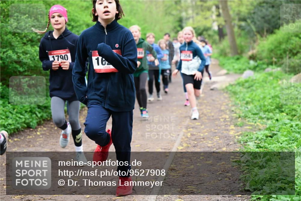 19.04.2026 - Hammer Lauf Dr. Thomas Lammeyer http://msf.ph/oto/9527908 19.04.2026 09:26:45 Laufen 1790 meine-sportfotos.de